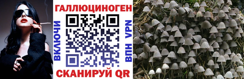 Галлюциногенные грибы MAGIC MUSHROOMS Кубинка